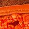 POMARAŃCZOWY