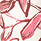 PINK/ DUNKELROT/ ECRU
