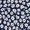 BLAU/ WEISS
