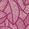 FUCHSIA/ ECRU