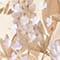 912 lavender romantic flower