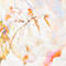 CREME/ ORANGE/ OLIV