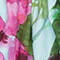 HELLBLAU/ GRÜN/ FUCHSIA