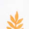 WEISS/ ORANGE