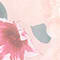 LIGHT PINK/ PINK