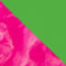 GOLD/ FUCHSIA/ GRÜN