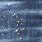 470 BLUE NAVY
