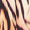HELLLILA/ SCHWARZ/ BEIGE