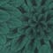 GREEN/ BLACK