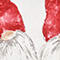WHITE/ RED/ GRAY