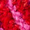 FUCHSIA/ DUNKELROT/ DUNKELORANGE