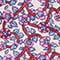 WEISS/ HELLBLAU/ PINK