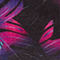 SCHWARZ/ PINK