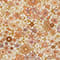 BEIGE/ ROSÉ