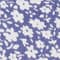 BLAU/ WEISS