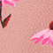 DUSKY PINK/ NEON PINK/ PINK