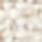 1611 Turtledove Karo