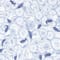BLAU/ WEISS