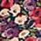 LILA/ ROSA/ GRÜN