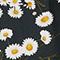 BLACK/ WHITE/ YELLOW