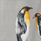 GRAY/ BLACK/ DARK YELLOW