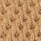 LIGHT BROWN/ GOLD