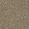 581 sage powder