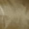 581 sage powder