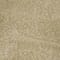 581 sage powder
