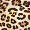 617 granola