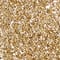 BEIGE/ GOLD