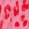 ROSA/ ROT