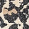 BEIGE/ SCHWARZ