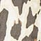 CREAM/ ECRU/ BLACK
