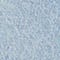 26 LIGHT BLUE