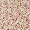 CREME/ ROT