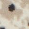 BEIGE/ SCHWARZ