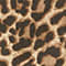 LEO PRINT