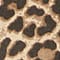 LEO PRINT