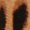 COGNAC/ SCHWARZ