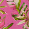 PINK/ HELLGRÜN