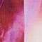LILA/ ORANGE/ PINK