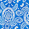 BLUE/ WHITE