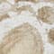 CREME/ BEIGE