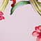 ROSA/ PINK/ GRÜN