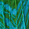 GREEN/ LIGHT BLUE
