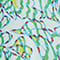LIGHT BLUE/ GREEN/ YELLOW