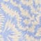 CREME/ HELLBLAU
