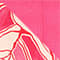 PINK/ NUDE/ ROT