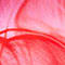 PINK/ ROT